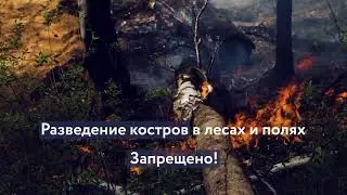 Увидели пожар в лесу, звоните 8(301-2) 204444