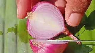 Red onion Cutting