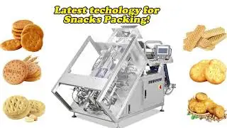 Quad Seal Pouch Packing Machine VFFS bagger for Crispy Puffed Snacks#factory #machine
