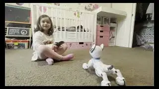 Aokid Toy Remote Control RC Voice Control Electronic Dancing Programmable Smart Puppy promotion