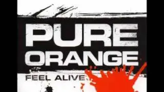 Pure Orange featuring Shane Nolan - Feel Alive (Original Mix)