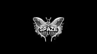 spaze dynasty | я денчик | Majestic 04 | promo: spaze