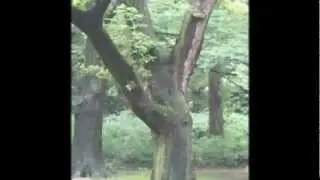 Suchbild
