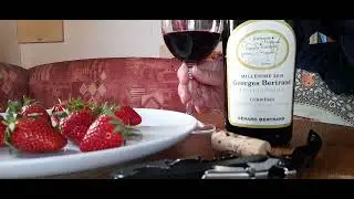 Loui Tastes Bertrand Mill&eacute;sime 2019 Georges Cuv&eacute;e Hommage Corbi&egrave;res Red Wine