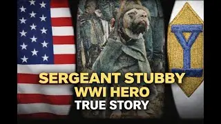 The Dog Who Became a Sergeant 🇺🇸 | The Incredible True Story of Sergeant Stubby (WWI)