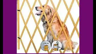 Hundeabsperrungen - denn Hunde d&uuml;rfen nicht &uuml;berall hin