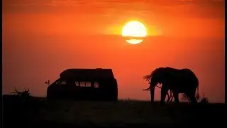 JUCY Rentals | The Great Migration of New Zealand