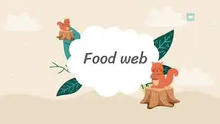 Biology presentation Activity 9.1 ( Ecosystem in forest)