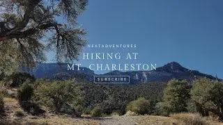 Mt. Charleston: Outdoor Activities Outside Of Las Vegas #hiking #hikingtrails #lasvegas 