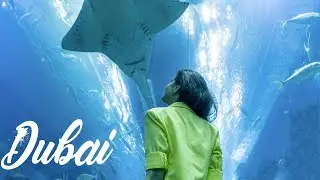 Dubai Vlog | #DubaiDiaries