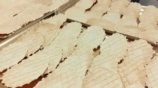 FERRATELLE O NEOLE DURE