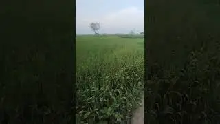 daira Malkhanwala 23/03/2024(1)