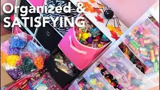 LIP BALM COLLECTION STORAGE & ORGANIZATION *SATISFYING*
