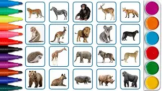 Wild animals name with board cards, english varnmala, english alphabet for kids.