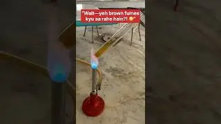 Brown Fumes Explained 😳 | Decomposition of Lead Nitrate | Class 10 CBSE