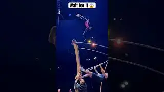 Acrobats Show ABSOLUTE TEAMWORK 💯  #cirqueart #acrobatics #circus