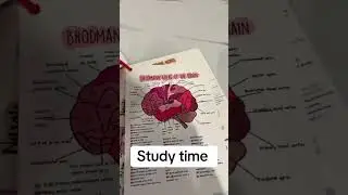 SLPA/SLP #slpa #speechpathology #slpeeps #slpgradstudent #speechpathology #speechtherapy #slpstudy