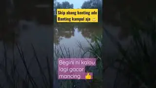 Di hajar terus umpannya sampau strek bertubi #strek #mancingdirawa