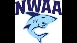 ARKANSAS SWIMMING TEAM FEATURE EPISODE #1: Northwest Arkansas Aquatics 🦈