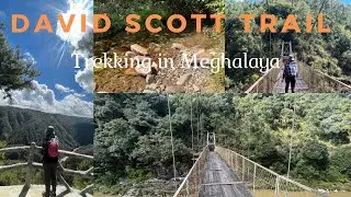 David Scott Trail - Half Trek | Mawphlang | Meghalaya