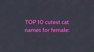 Baby cat - top 10 cats names male & female | compilation #6 | aaw animals world | #animals |