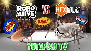 ROBO ALIVE Cockroach vs HEXBUG Scarab Mega Robot Battle | YutopianTV