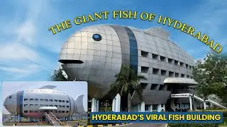 Beautiful Fish Building In Hyderabad NFDB