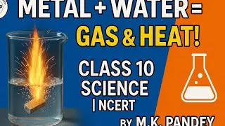 Metal react with water class 10th question 