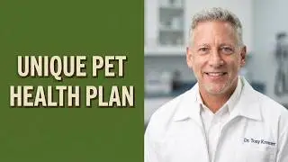 Vet Talks  Your Pet Is Unique  Their Health Plan Should Be Too