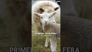 O Que Fizeram Com a OVELHA DOLLY ? - #short #curiosidades #fyp