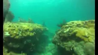 hero dive
