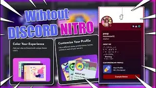 Настройка профиля Nitro БЕСПЛАТНО (обучение)