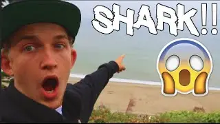 Finding a Shark Outside my House!