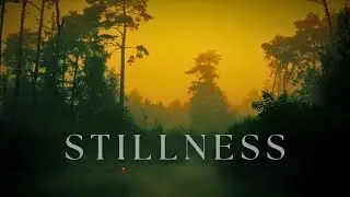 Stillness &ndash; Foggy Ambient Soundscape | Deep Calm for Sleep, Meditation & Focus