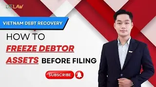 Vietnam Debt Recovery: Strategic Guide to Asset Freezing Before Filing | LTS LAW FIRM