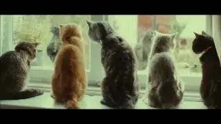 When You Leave Your Cat Home Alone