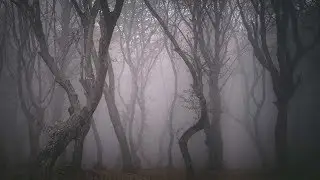 DARK HIBPM (LONGSET)