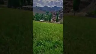 Phandar valley Ghizer Gilgit Baltistan
