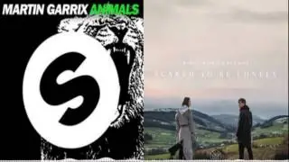 Scared To Be Lonely Vs Arsonist Vs Animals (Martin Garrix UMF 2017)