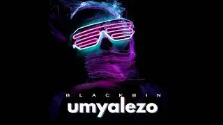 BlackBin - Umyalezo Official Audio