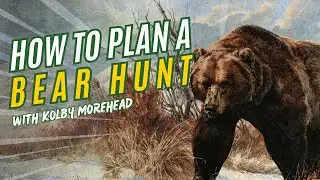 How To Plan a Bear Hunt with Kolby Morehead