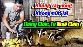 KH&Ocirc;NG VAY N&Oacute;NG! KH&Ocirc;NG MẤT L&Atilde;I! THẮNG CHẮC TỪ CHĂN NU&Ocirc;I CHỒN MỐC | ĐI L&Ecirc;N TỪ L&Agrave;NG