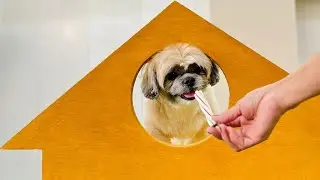 Jack's Pet Village and Grooming Spa (Pet Grooming, Pet Hotel, Paw Park and Spa)