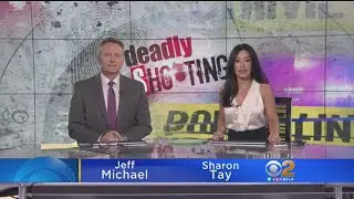 CBS 2 News at 11:00 a.m.