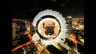 BulldogBLY-My soul is screaming