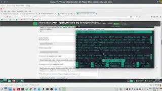 Manjaro 20 setup webserver  apache php phpmyadmin