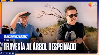 TRAVESÍA AL ÁRBOL DESPEINADO | EL VLOG DE LA MESA | 29/1/2026
