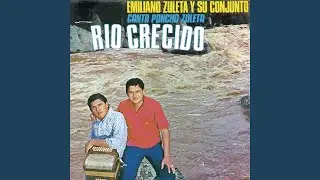 Rio Crecido