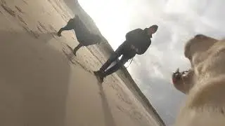 GoPro Fetch Dog Harness - First Test Run