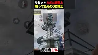 【認知度1%】SUMMITサーチでのプロ相手にも通用する強ポジ！これを覚えるだけで大活躍できます...！！ |   #codmobile  #最強  #KAME #codモバイル